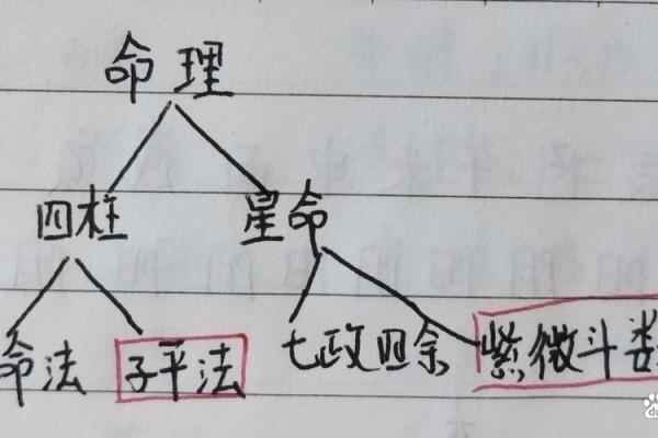 贵气的八字