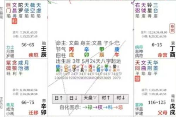 紫薇豆斗数软件