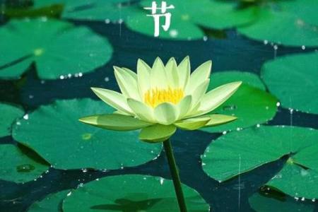 风水上清明节十大禁忌