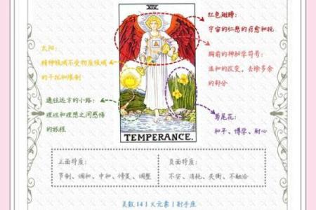 剖析塔罗测试的起源