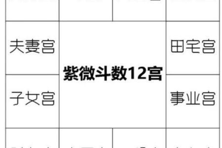 紫薇斗数测算父母