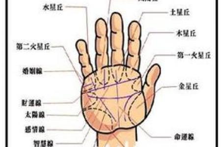 手相太阳线揭秘算命图解大全
