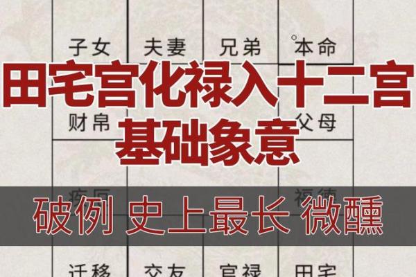 紫薇斗数象意