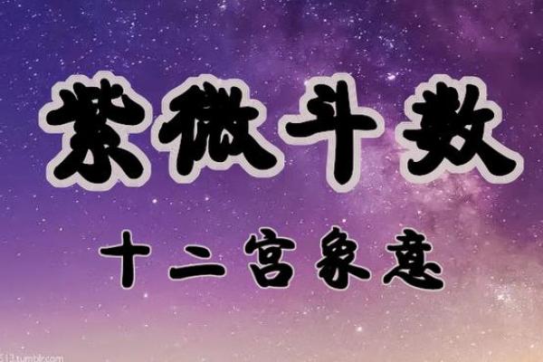 紫薇斗数象意