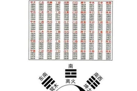 辛未八字