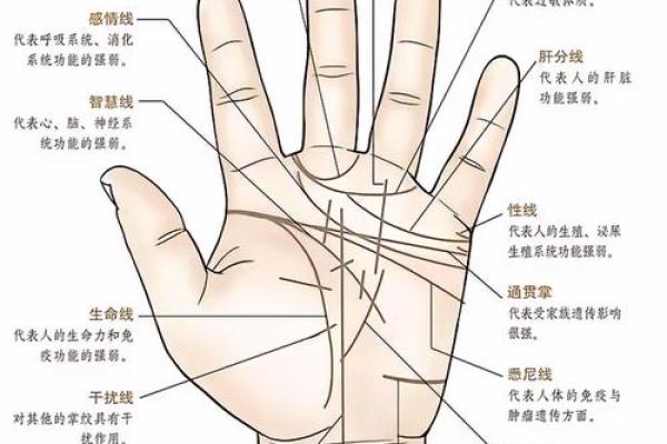 手型算命：你是什么手型？