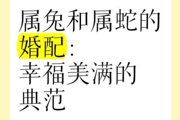 八字合婚属蛇的女人和属蛇男能结婚吗 有没有姻缘