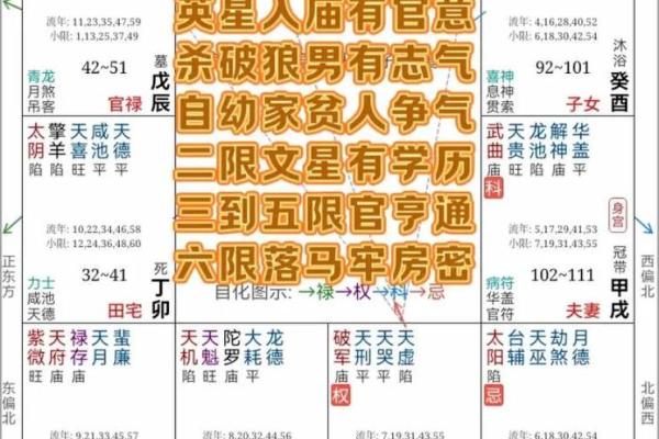 紫薇斗数三方是杀破狼