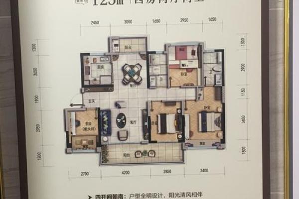 碧桂园房子的风水设计图