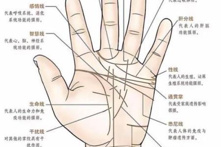 手型算命：你是什么手型？