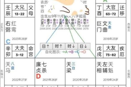 知否科技紫薇斗数