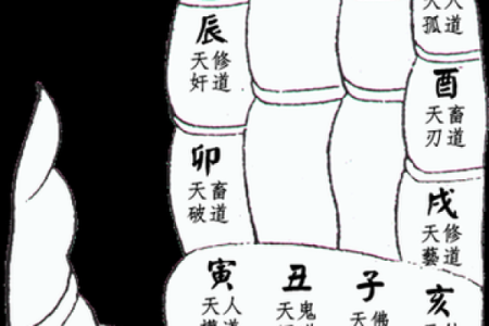 算命手势图含义