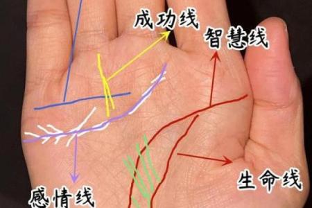 女性手掌纹算命图解婚姻
