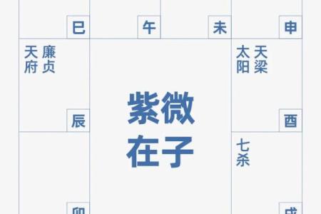 紫薇斗数适合怀孕