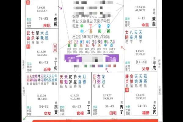 算命生辰八字软件 算命生辰八字软件