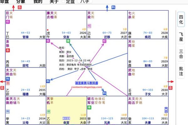 免费紫薇星盘在线排盘 免费紫薇星盘在线排盘