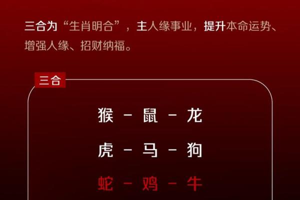 属鼠和属蛇的八字合不合得来,属蛇的跟属鼠的合财吗