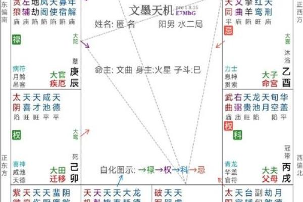 紫薇命盘疾厄宫廉贞天相