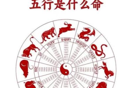 海内之牛是什么意思 八字推命之海内之牛