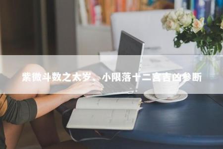 紫微斗数之太岁、小限落十二宫吉凶参断