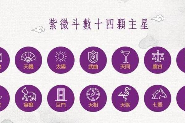 免费紫薇命运斗数