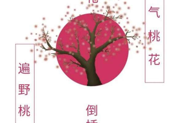 算命说今年倒插桃花 算命说今年倒插桃花