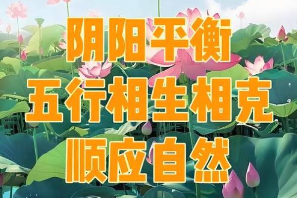 深圳风水_目前中国还有哪些发明