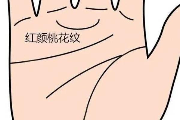图解：手相金星环算命