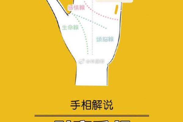 图解：手相金星环算命