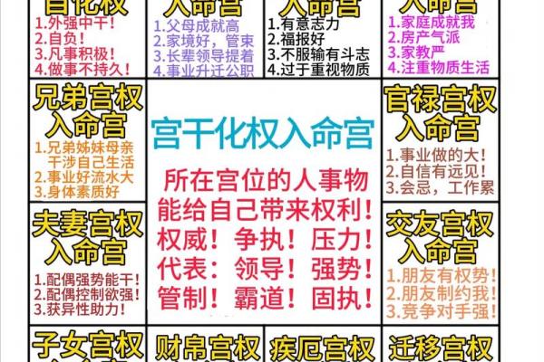 一分钟学会紫微斗数——夫妻给我带来的福气#国学文化 一分钟学会紫微斗数——夫妻给我带来的福气#国学文化