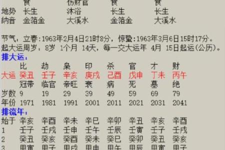 生辰八字之润下格,八字润下格什么意思