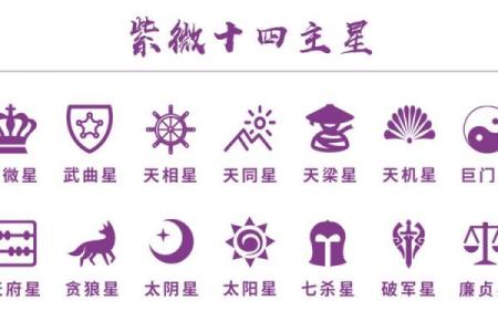 紫微斗数十四主星：巨门星概论