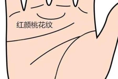 图解：手相金星环算命