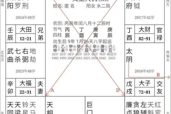 阳阳易经书店紫薇斗数 阳阳易经书店紫薇斗数