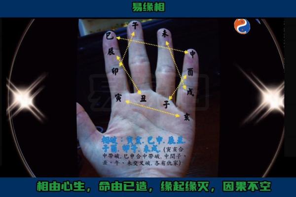 免费拍照看手相算命