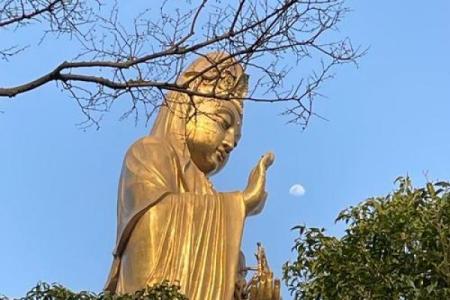普陀山可以算命不给钱吗