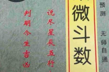 阳阳易经书店紫薇斗数