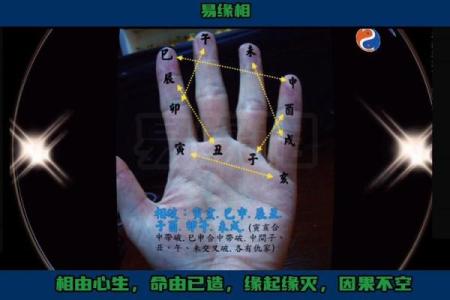 免费拍照看手相算命