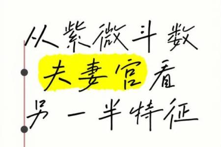 紫薇斗数里在哪里可以看怎么看三婚女人