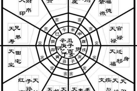 南北派紫薇斗数