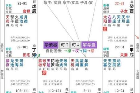 紫微斗数看会拥有美好婚姻的人