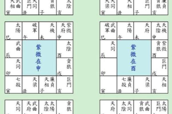 紫薇斗数盘 紫薇斗数盘