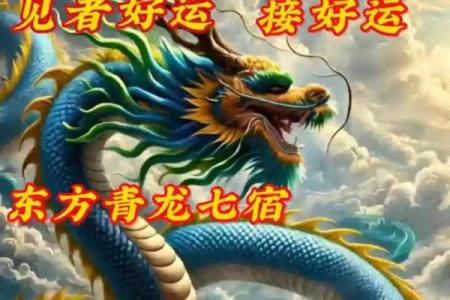 风水中青龙与人之富贵贫贱寿夭