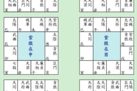 紫薇斗数盘