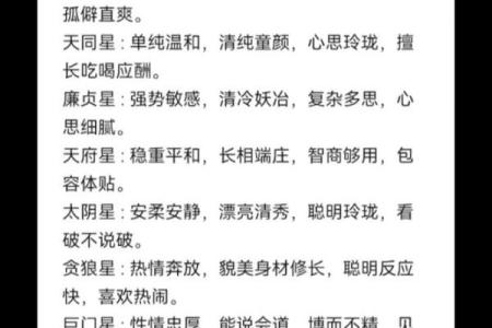 紫薇斗数星大全