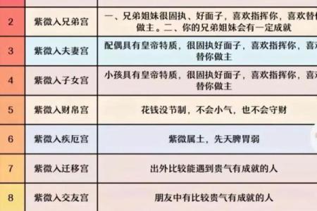 紫微斗数术语解释之:流星