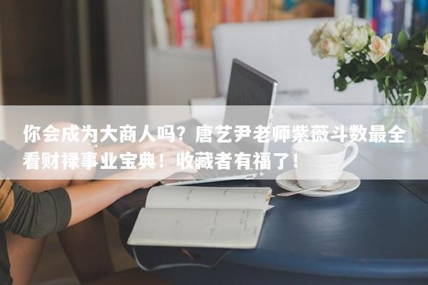 你会成为大商人吗?唐艺尹老师紫薇斗数最全看财禄事业宝典!收藏者有福了! 你会成为大商人吗?唐艺尹老师紫薇斗数最全看财禄事业宝典!收藏者有福了!