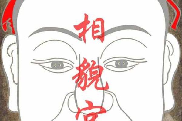 相貌宫紫薇斗数 相貌宫紫薇斗数