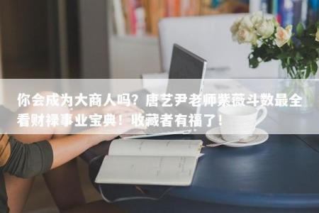 你会成为大商人吗?唐艺尹老师紫薇斗数最全看财禄事业宝典!收藏者有福了!