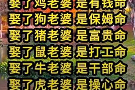 八字顺运是什么意思 八字顺运的含义